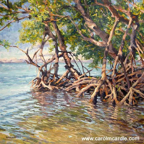 Aquarelle Mangrove Guadeloupe